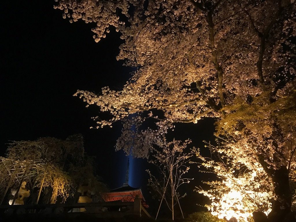清水寺ライトアップ