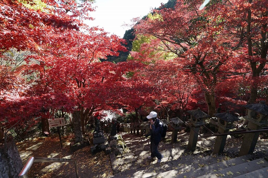 阿夫利神社