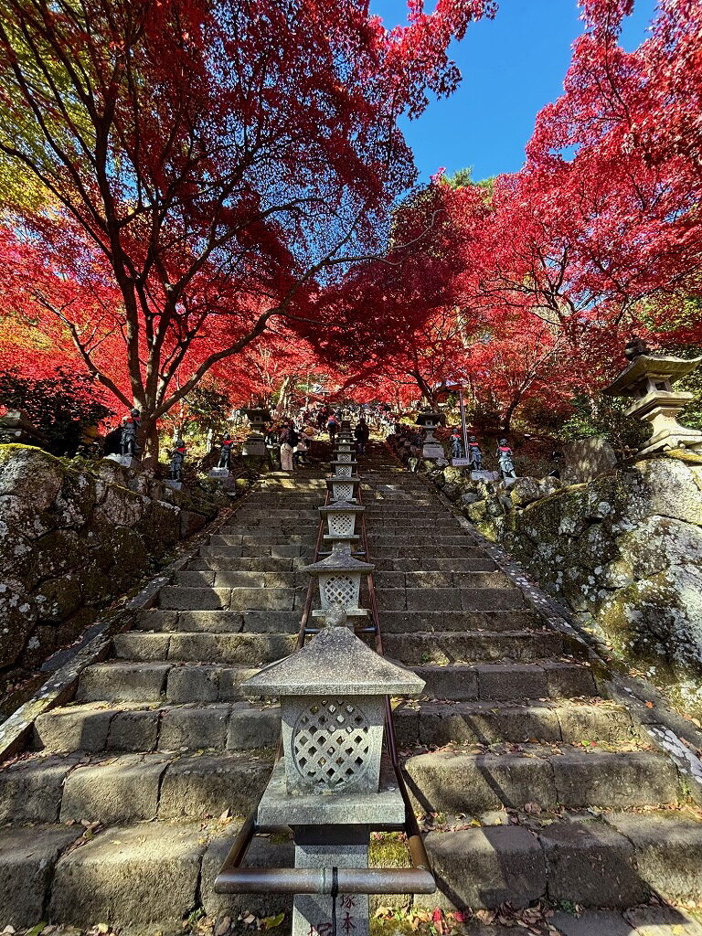 阿夫利神社