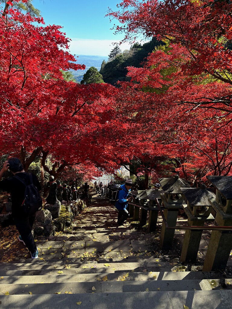 阿夫利神社