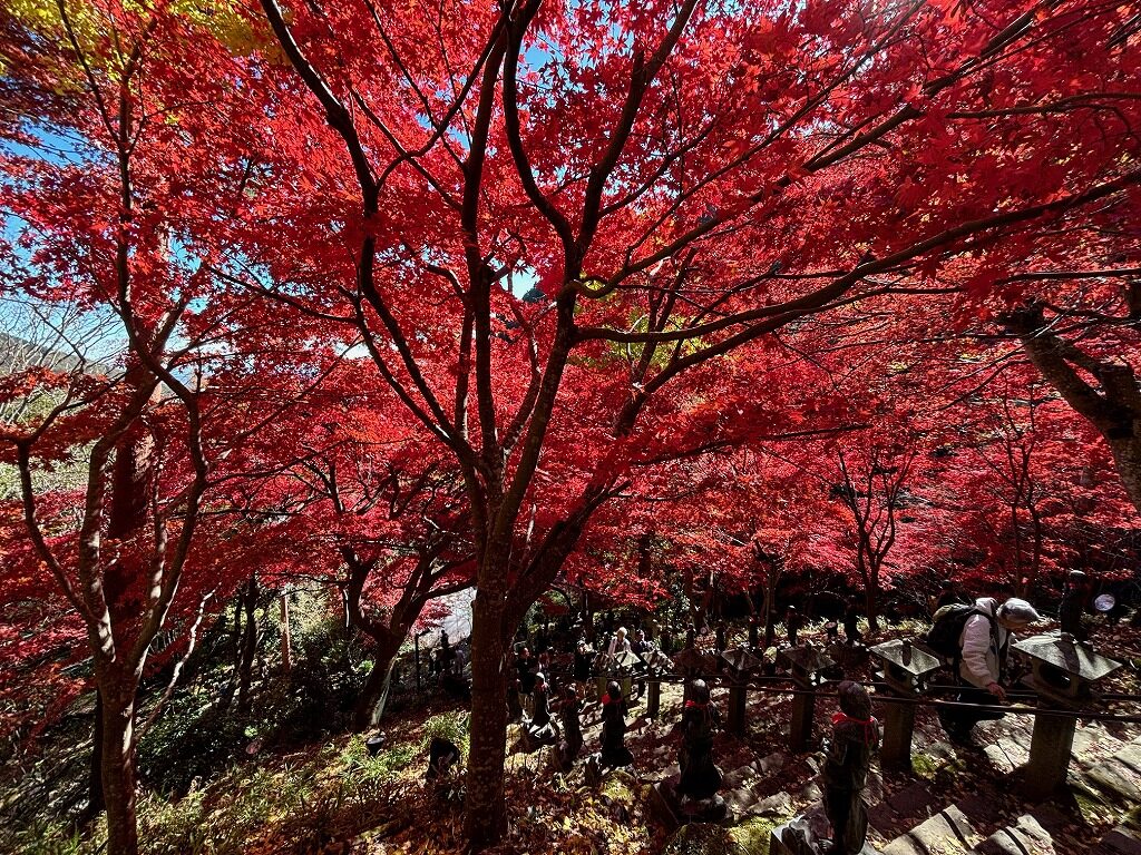 阿夫利神社