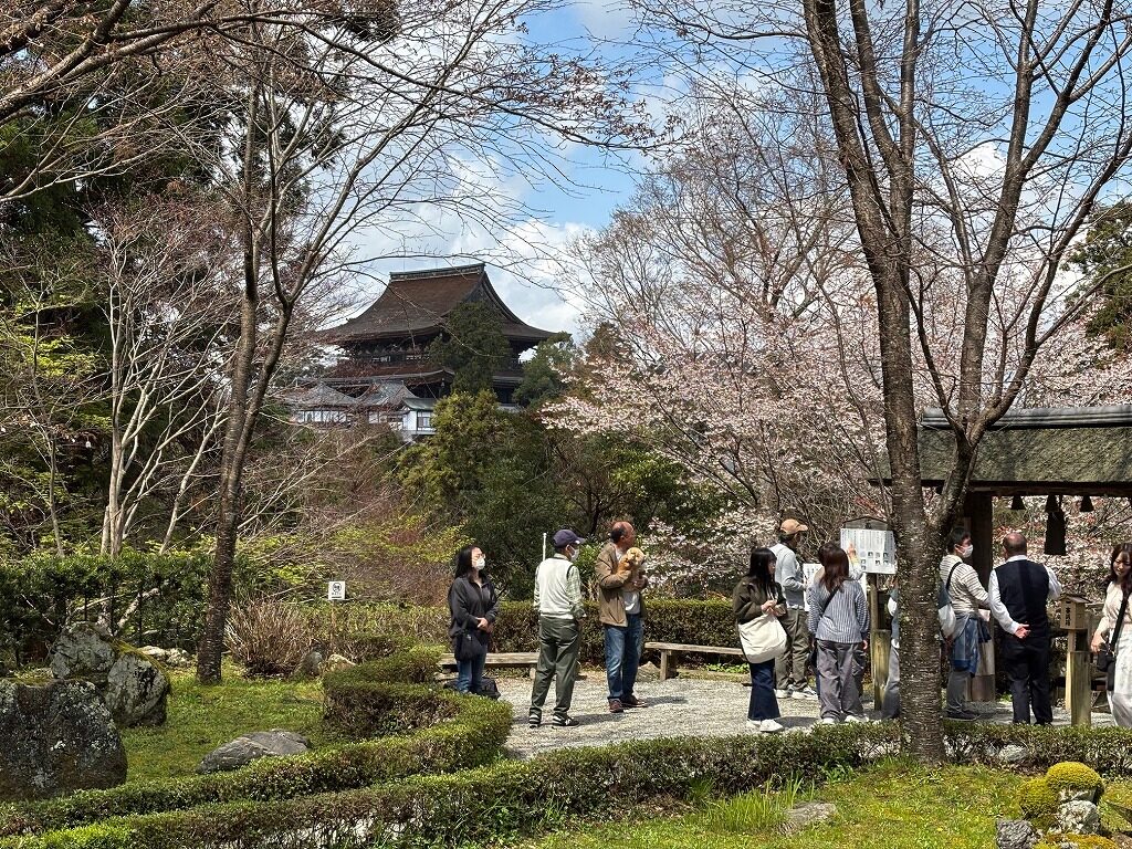 吉水神社書院