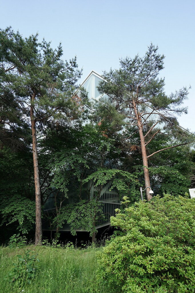 ソウル大学美術館