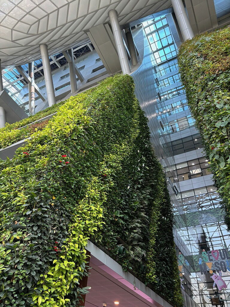 ソウル市庁舎