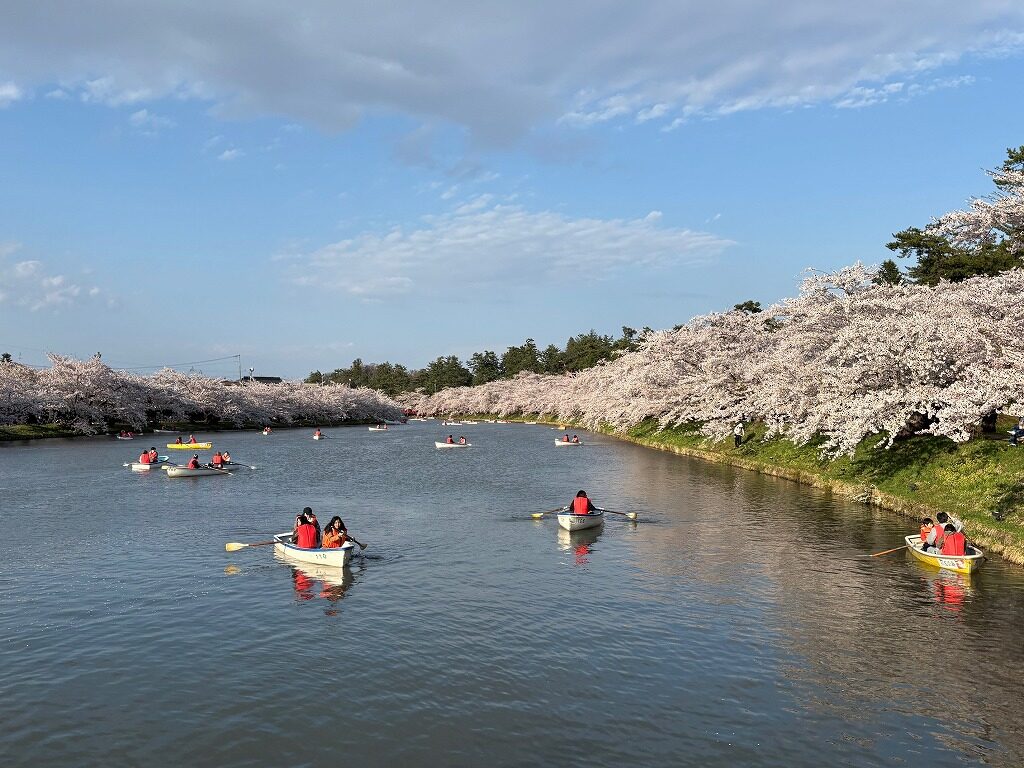 弘前さくら