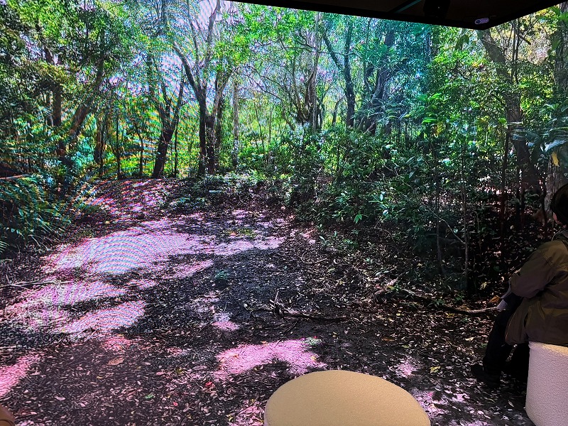 TOKYO ROOMS展