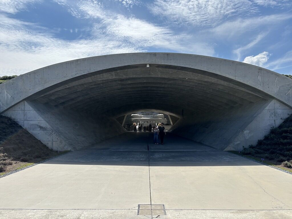 頭大仏